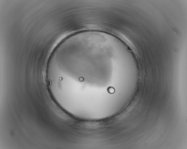 X0000114021291200910161748