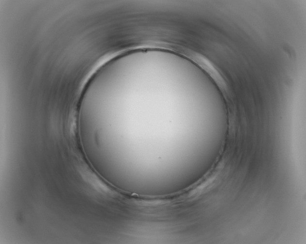 X0000114021292200910161748