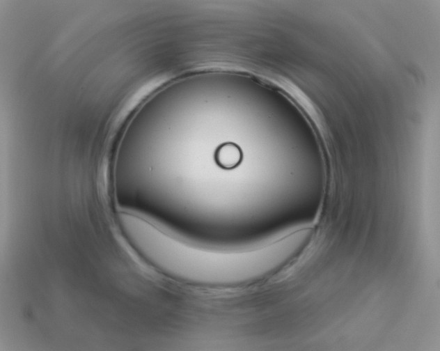 X0000114021293200910161748