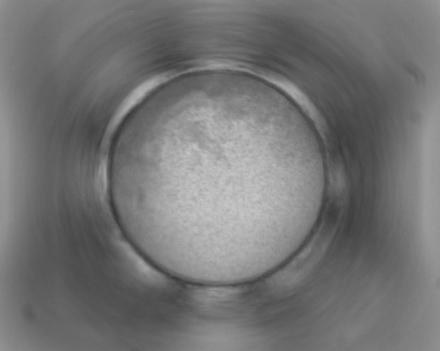 X0000114021294200910161748