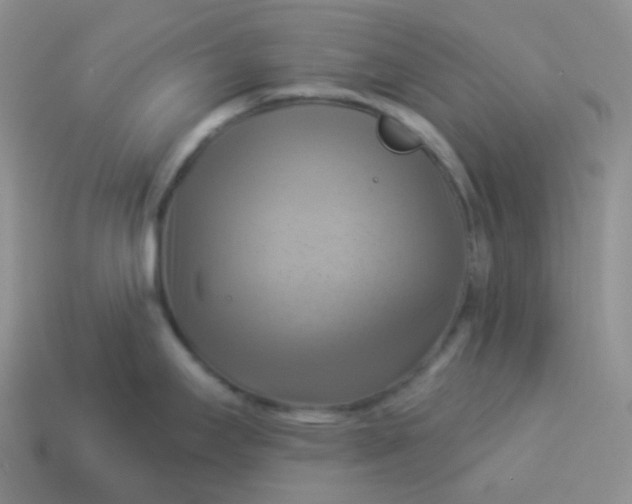 X0000114021295200910161748