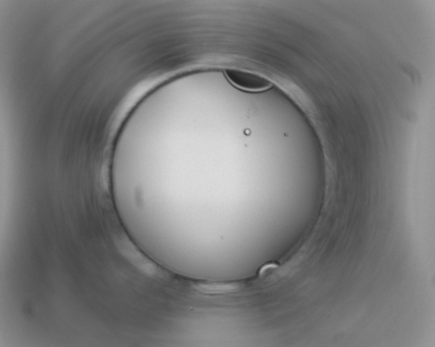 X0000114021296200910161748