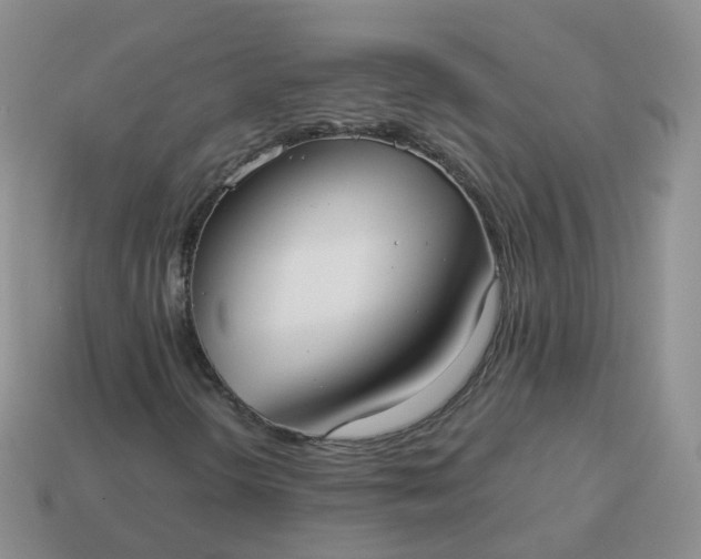 X0000114021298200910161747