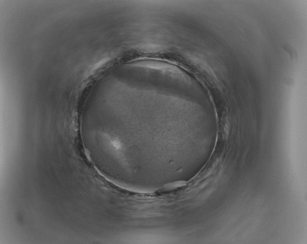 X0000114021301200910161747