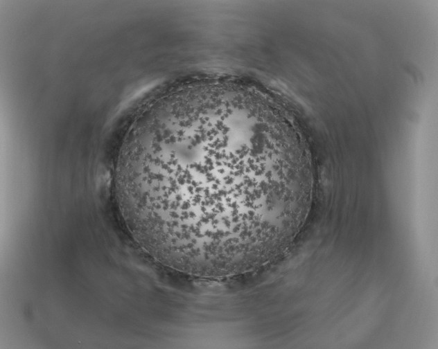 X0000114021302200910161747