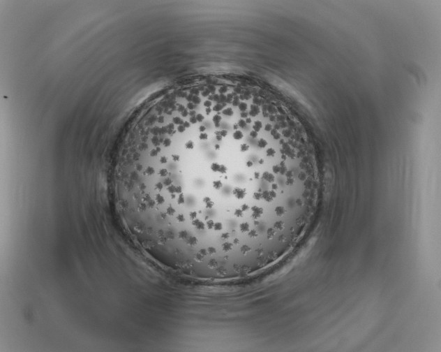 X0000114021305200910161747