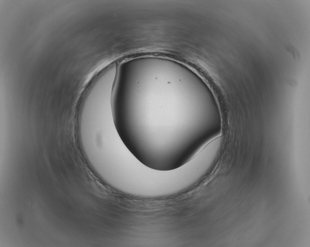 X0000114021308200910161747