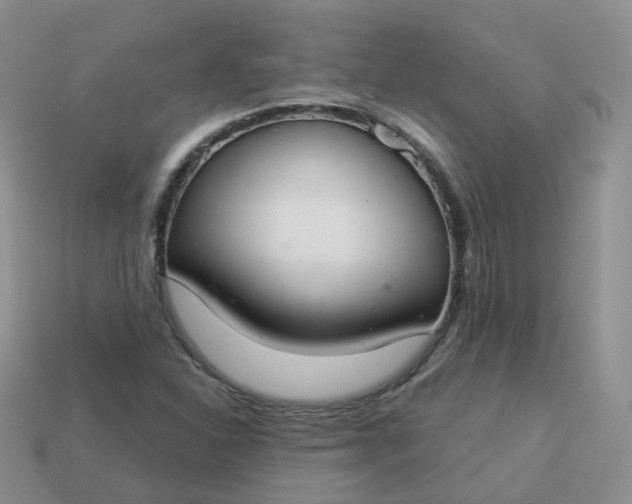 X0000114021310200910161747