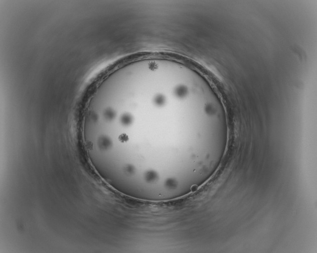 X0000114021311200910161747