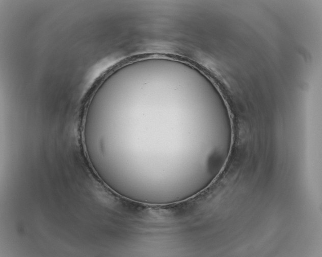 X0000114021312200910161747