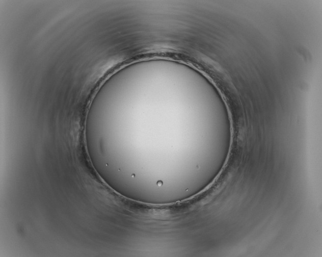 X0000114021313200910161747