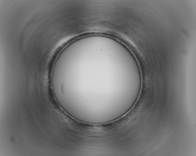 X0000114021315200910161747