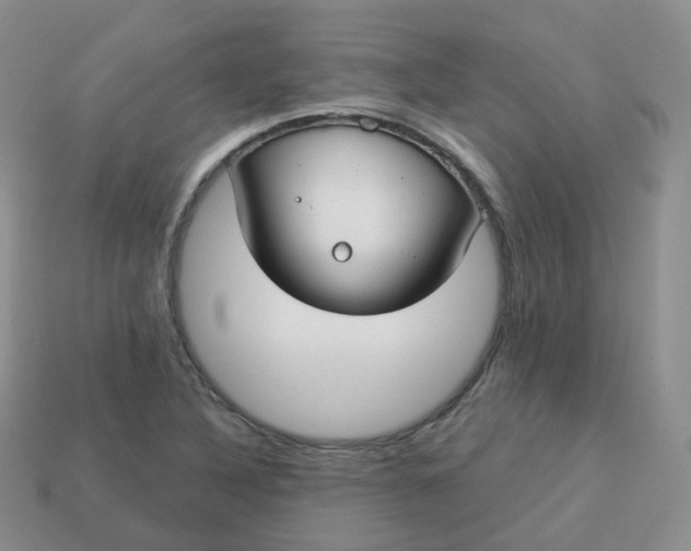 X0000114021316200910161747