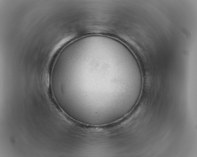 X0000114021317200910161747