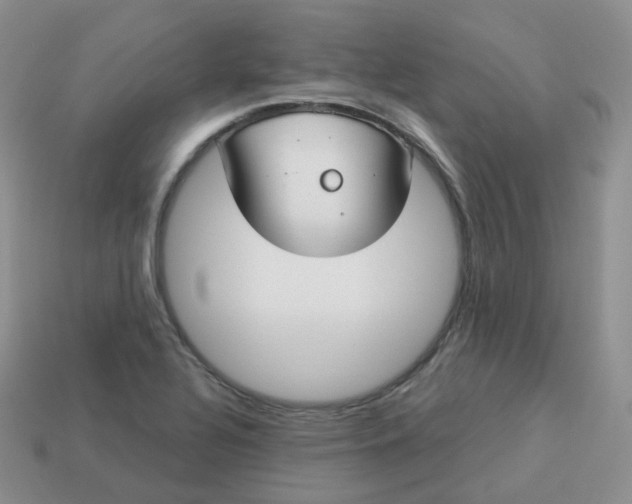 X0000114021320200910161747