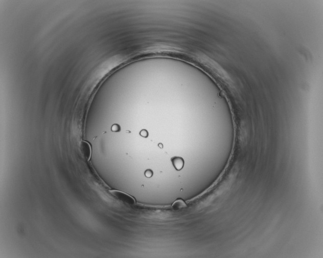 X0000114021321200910161747