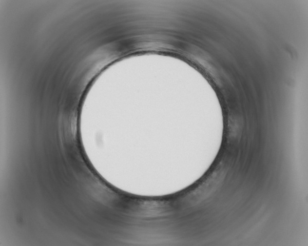 X0000114021322200910161747