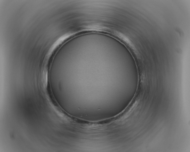 X0000114021323200910161747