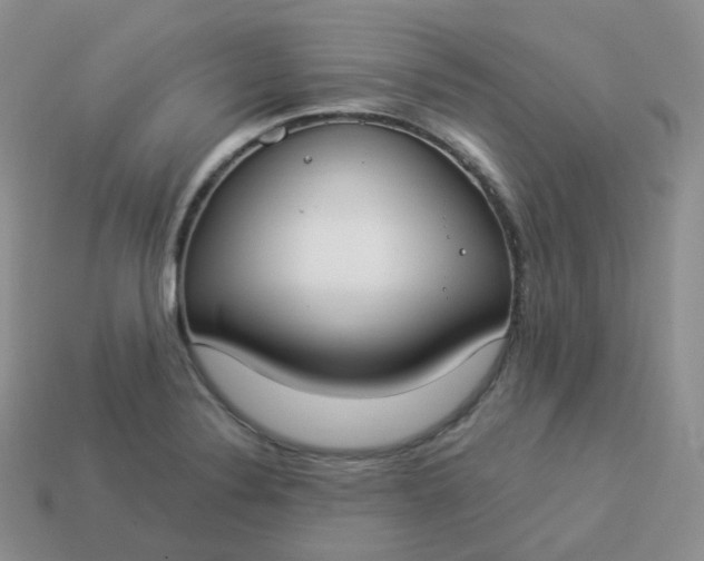 X0000114021324200910161747