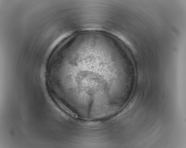 X0000114021325200910161748