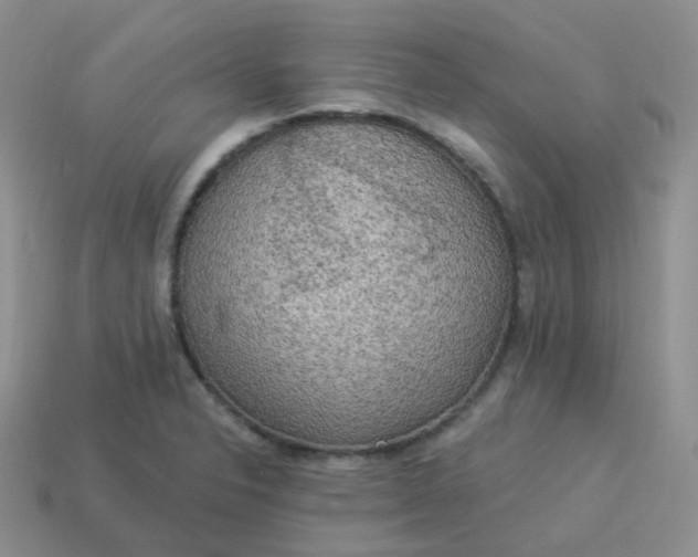 X0000114021326200910161748