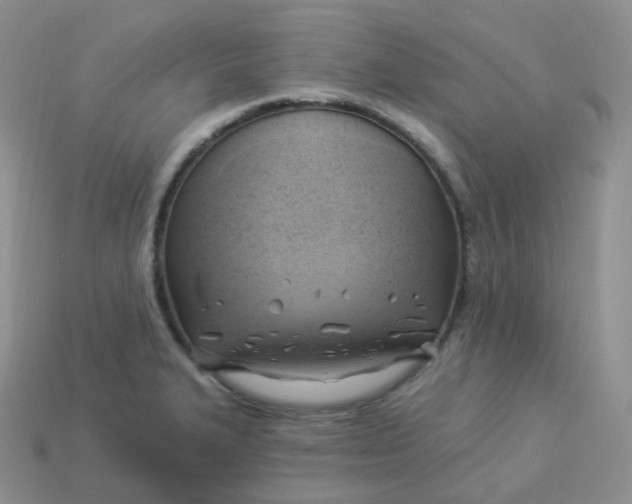 X0000114021327200910161748