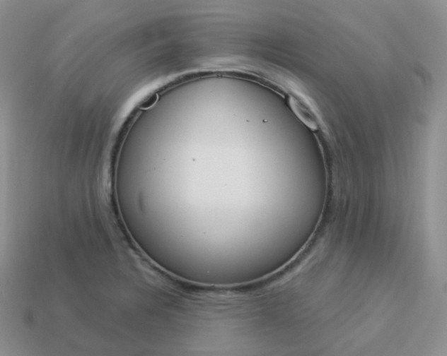 X0000114021328200910161748