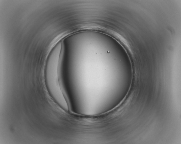 X0000114021330200910161748