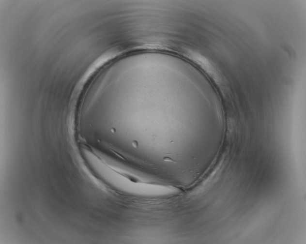 X0000114021331200910161748