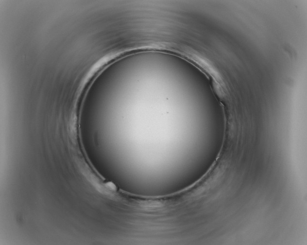 X0000114021332200910161748