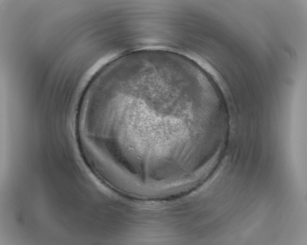 X0000114021333200910161748