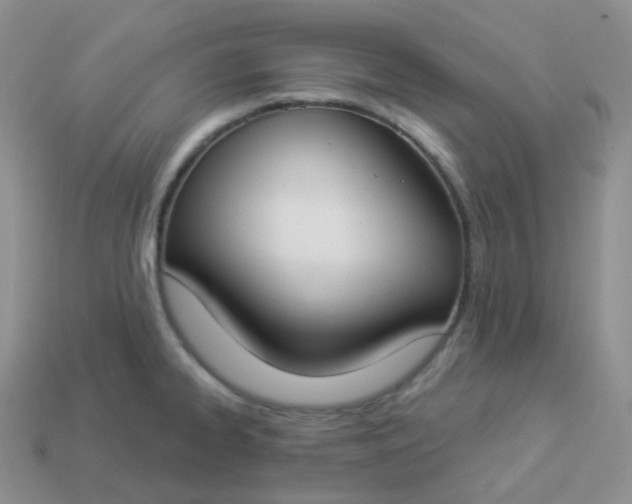 X0000114021334200910161748