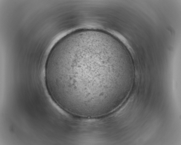 X0000114021335200910161748