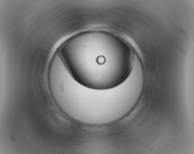 X0000114021336200910161748