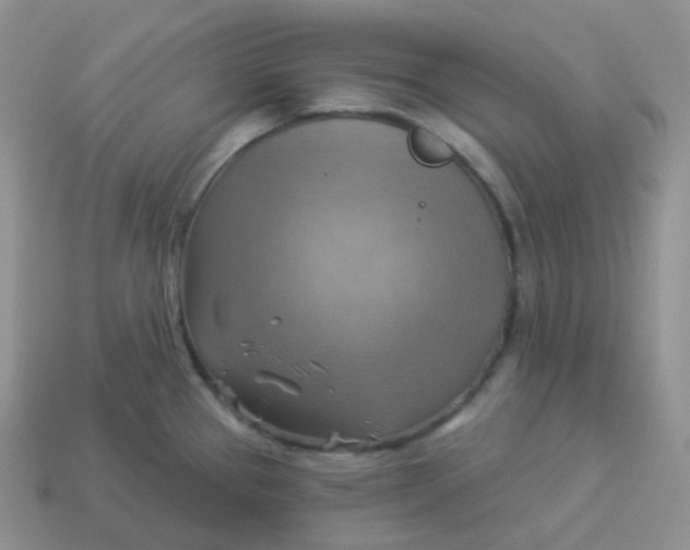 X0000114021337200910161748