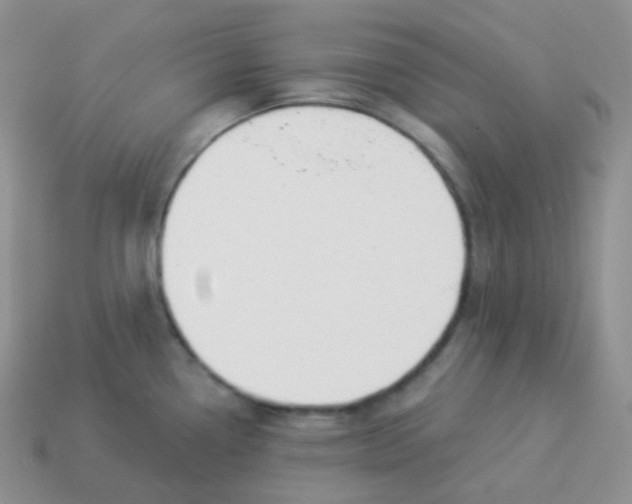 X0000114021338200910161748