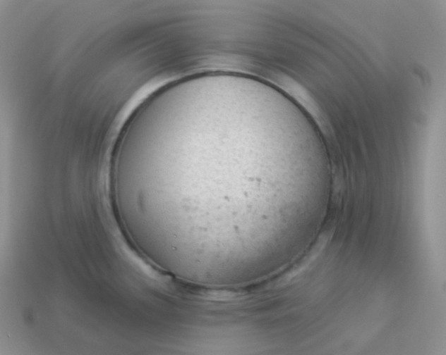 X0000114021339200910161748