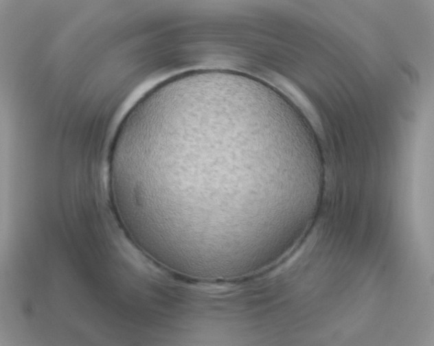 X0000114021340200910161748