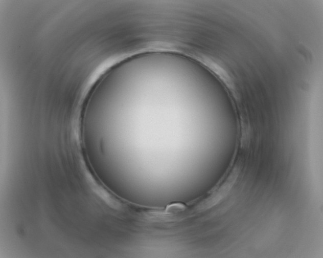 X0000114021342200910161748