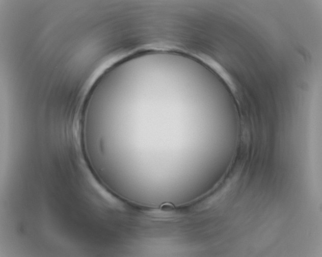 X0000114021343200910161748