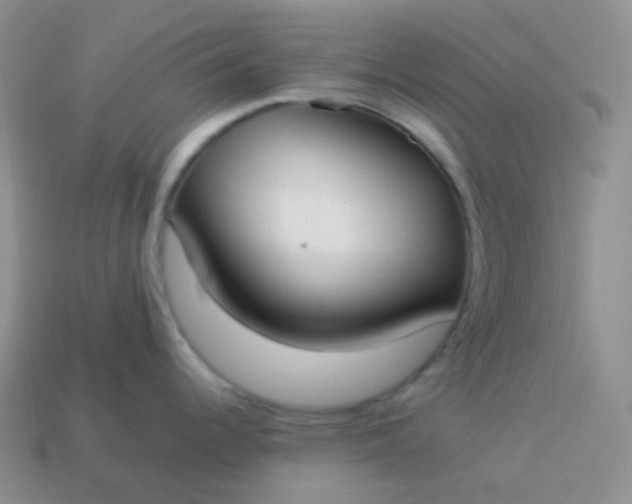 X0000114021344200910161748