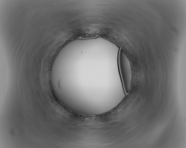 X0000114021345200910161747