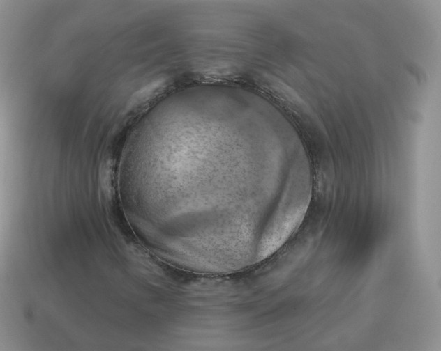 X0000114021346200910161747