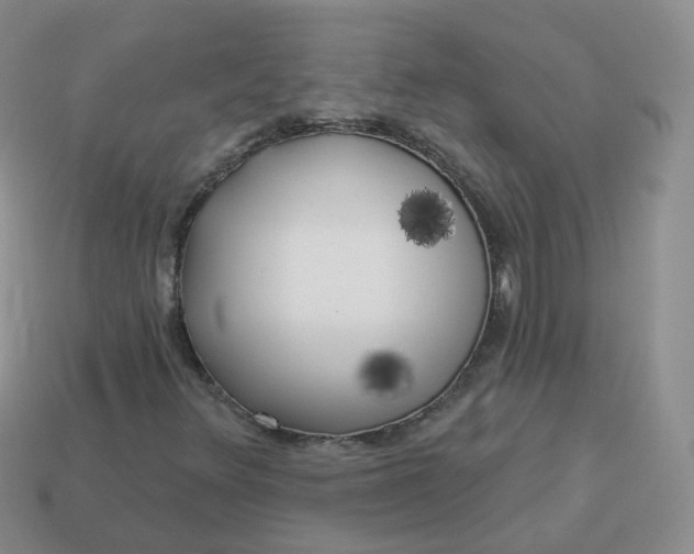 X0000114021348200910161747