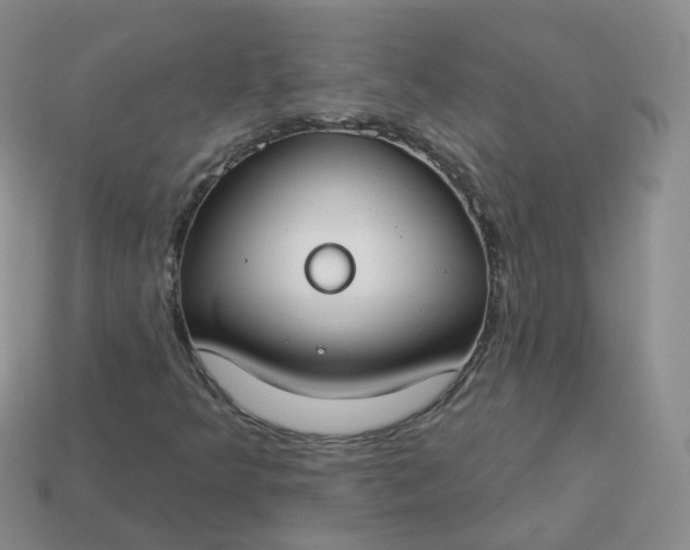 X0000114021349200910161747