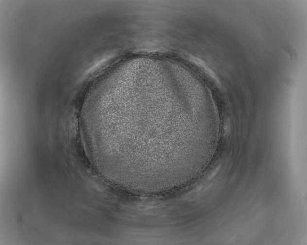 X0000114021350200910161747