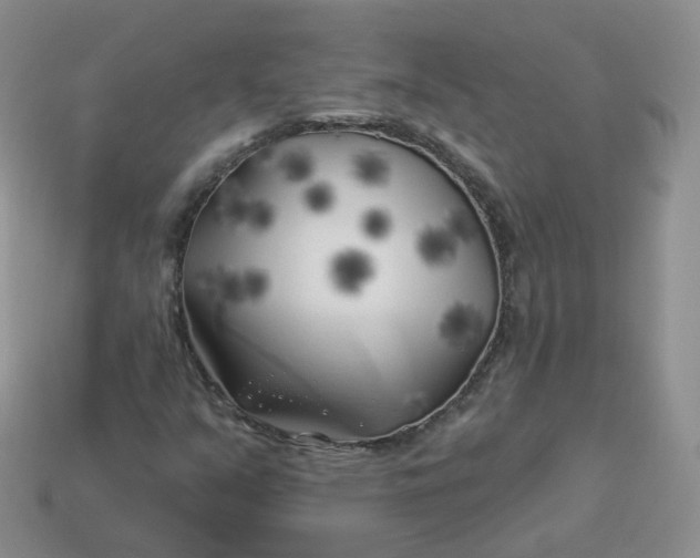 X0000114021351200910161747