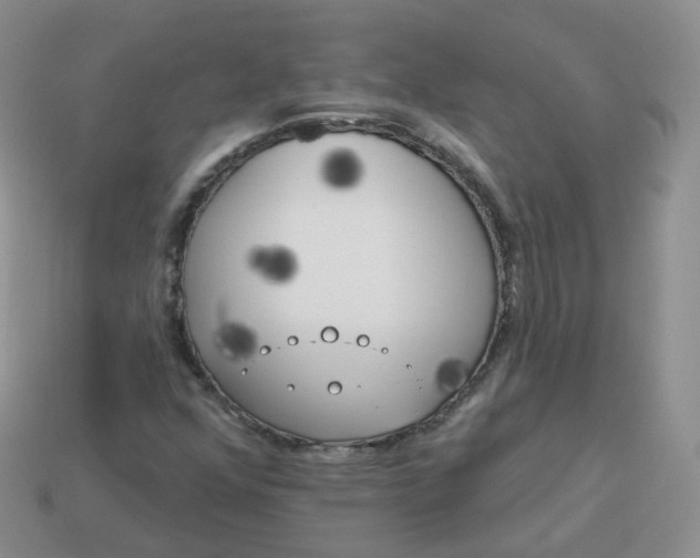 X0000114021352200910161747