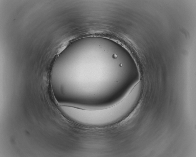 X0000114021353200910161747