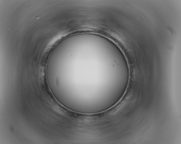 X0000114021355200910161747